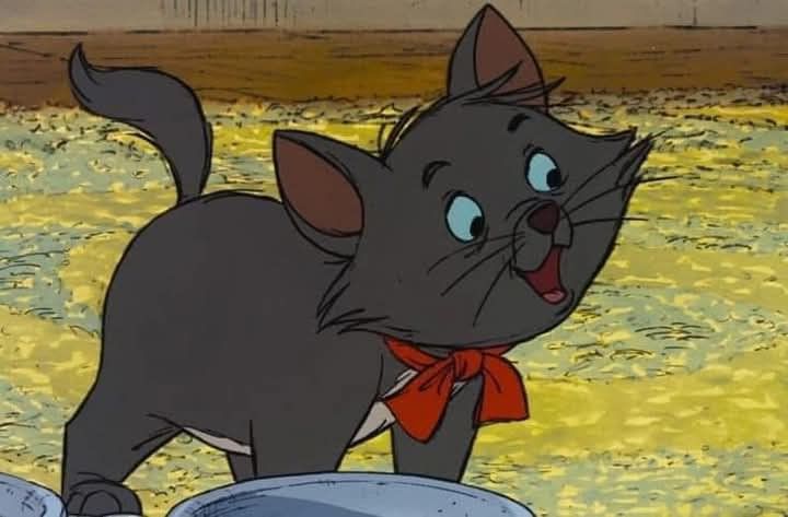 29